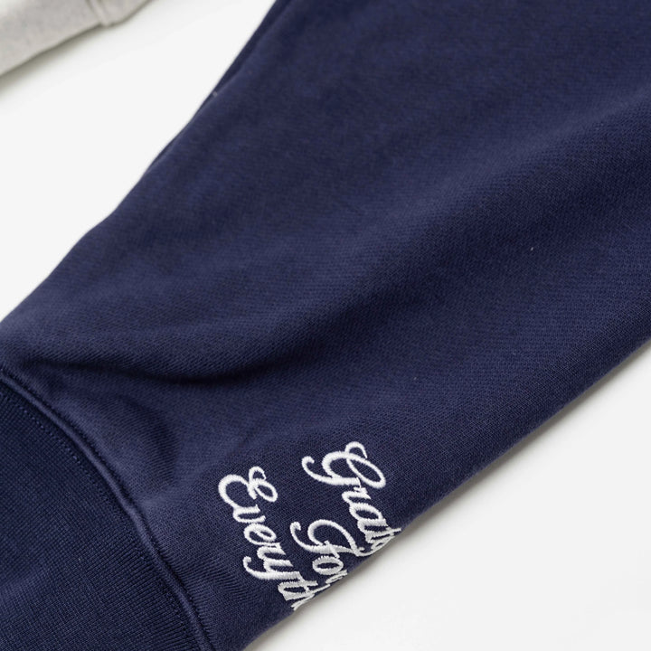 RIVERO - RAGLAN COLLEGE ZIP HOODIE - NAVY/GREY